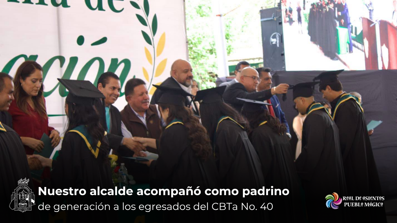Imagen 5